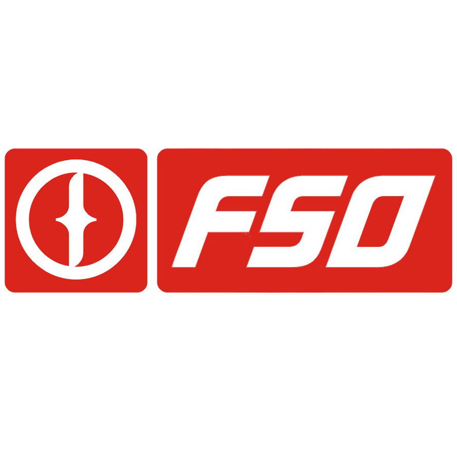 FSO официальный дилер